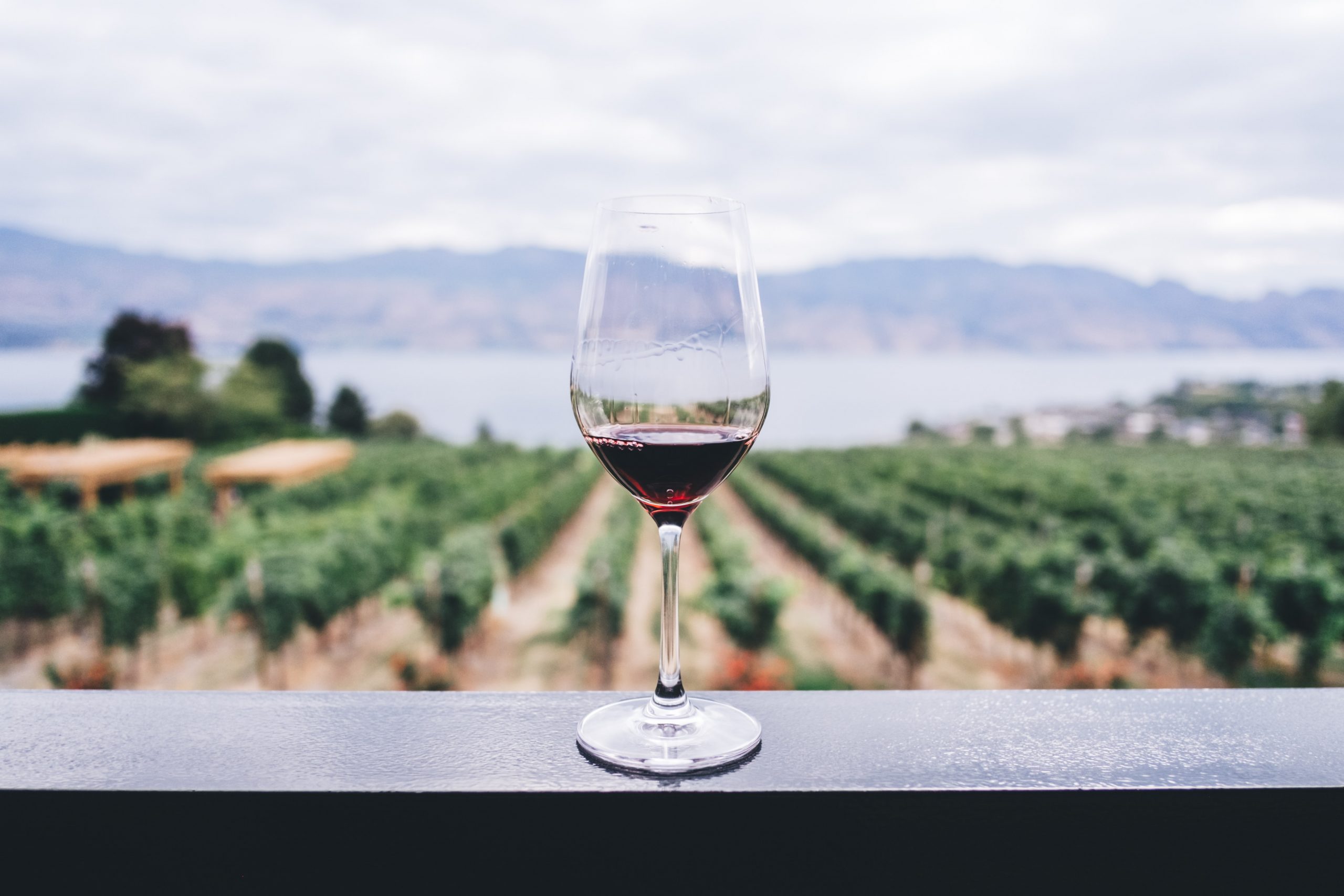 bicchiere di Vino rosso sui pergolati